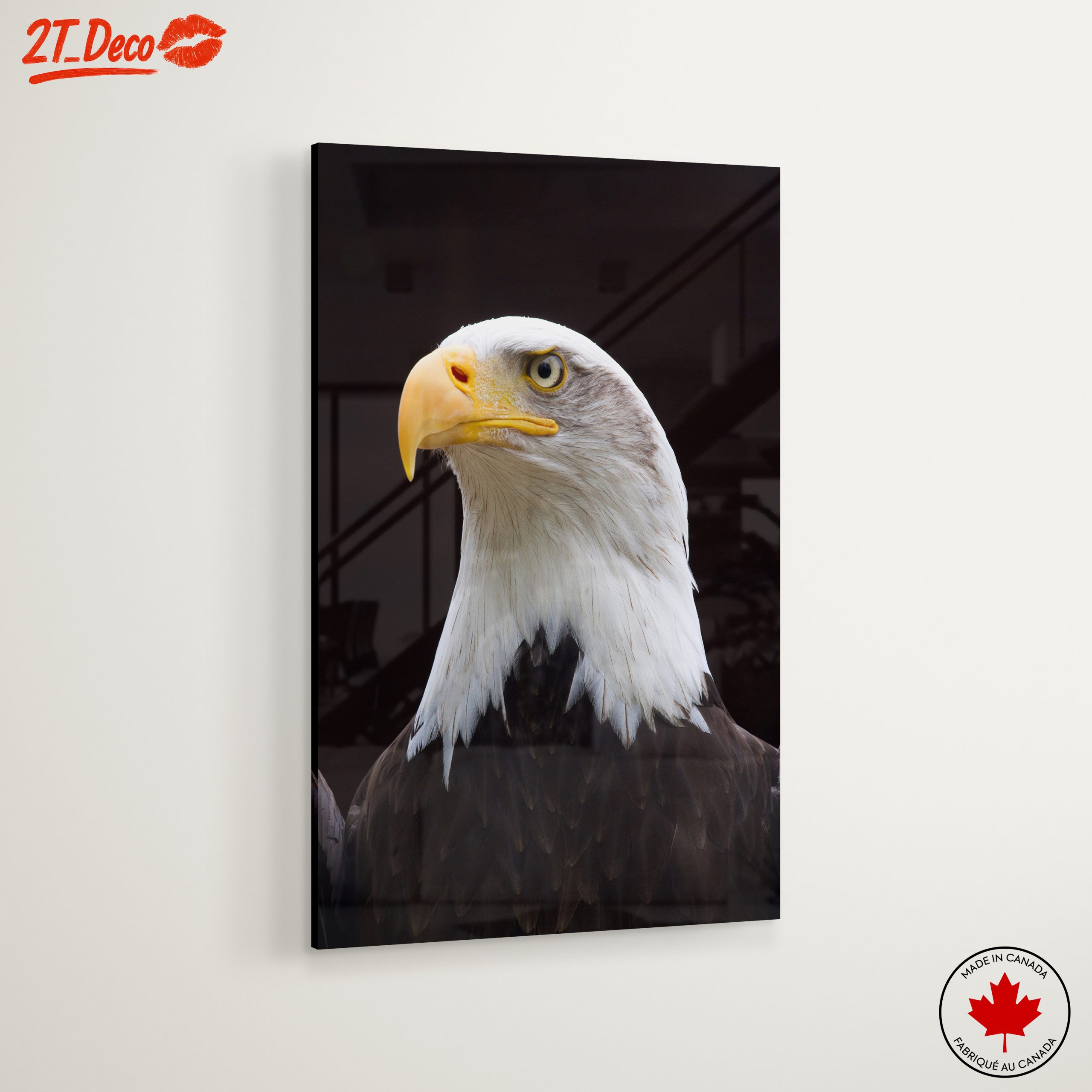 Majestic Eagle Portrait Wall Art 2 - Image 6
