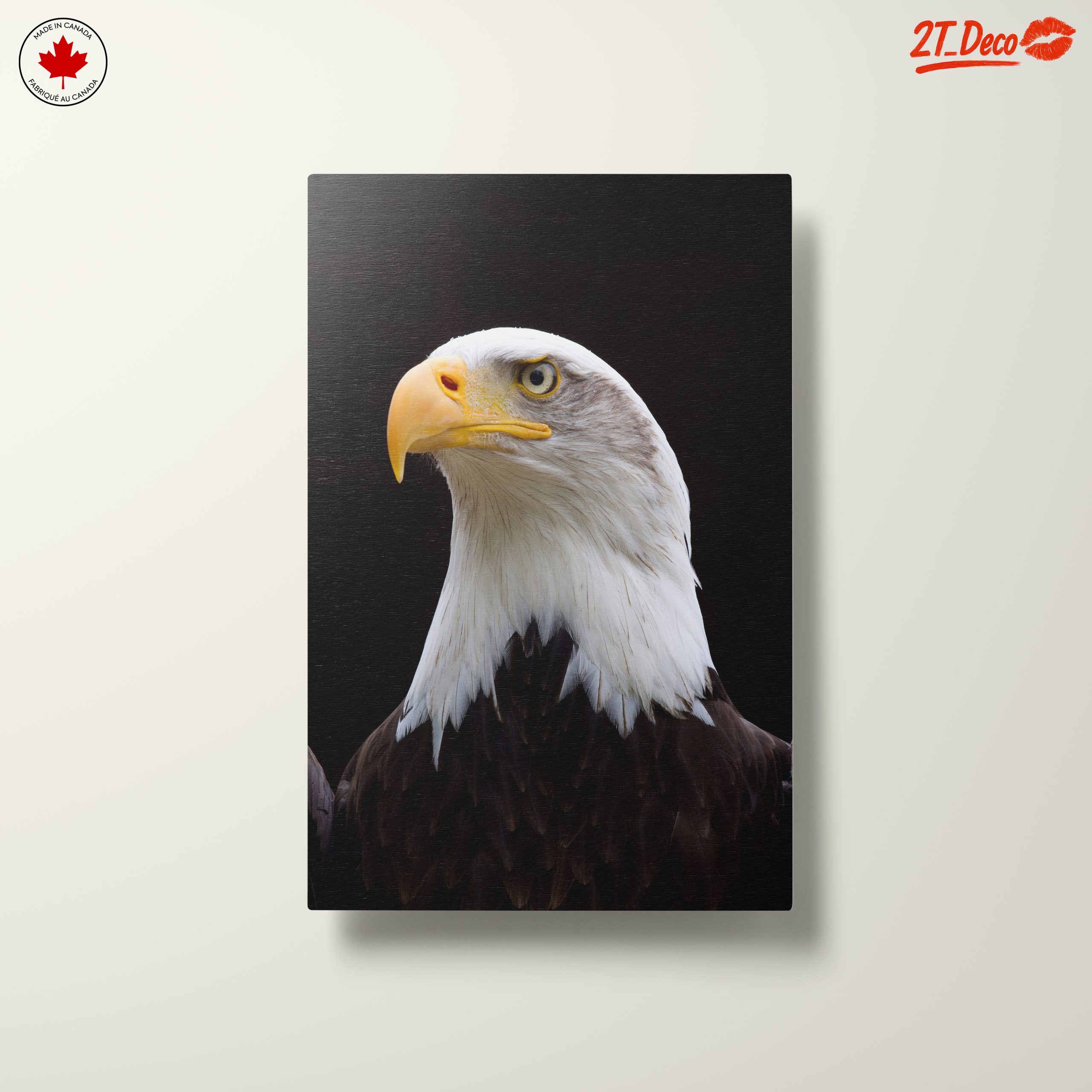 Majestic Eagle Portrait Wall Art 2 - Image 10