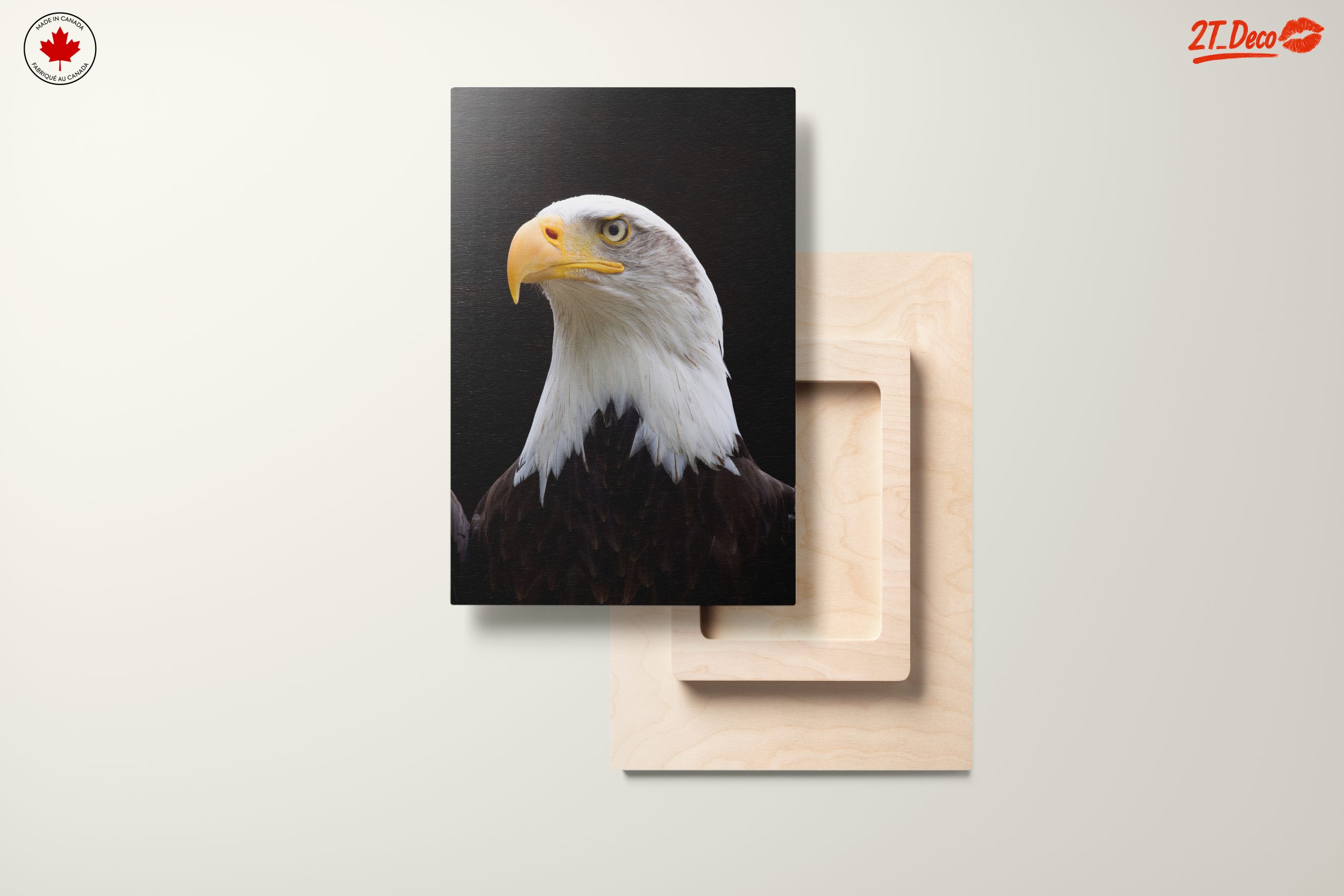 Majestic Eagle Portrait Wall Art 2 - Image 11