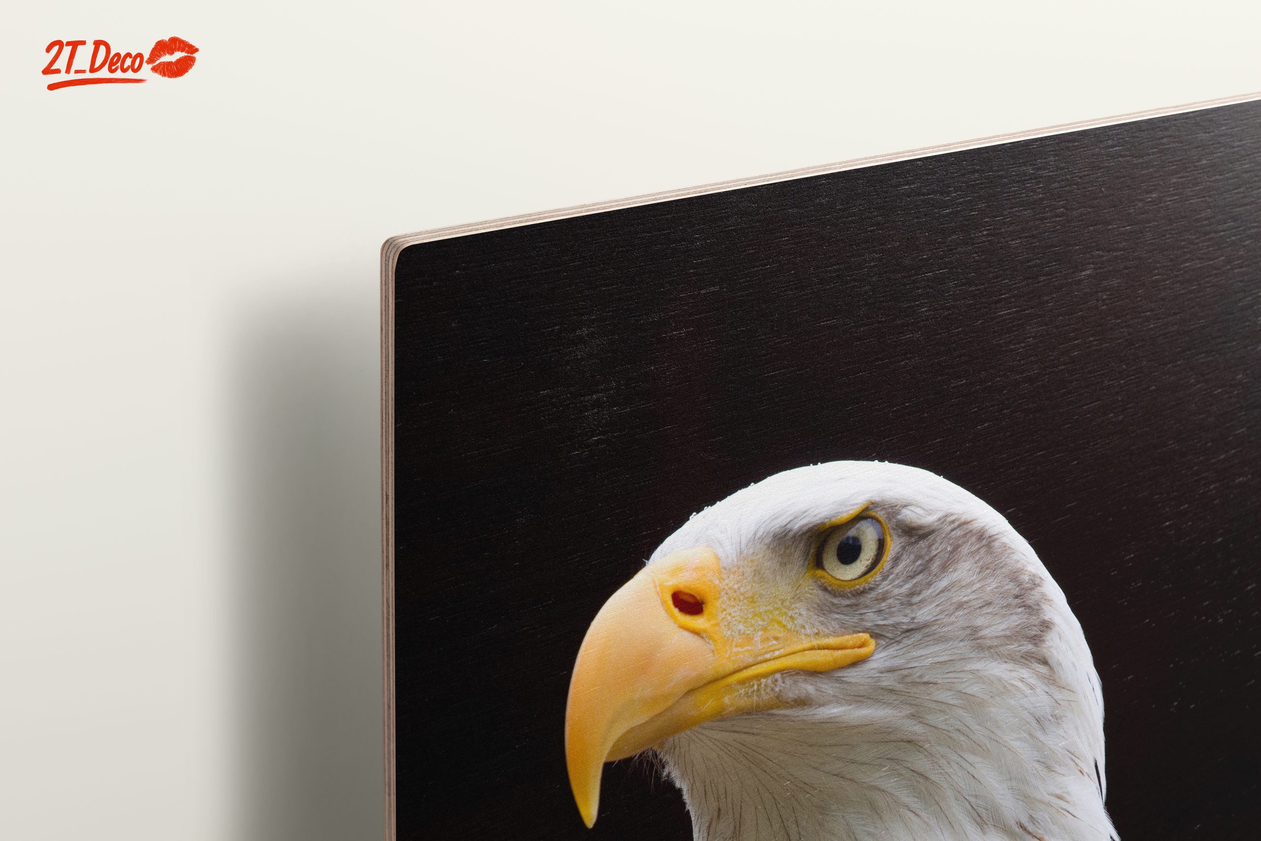 Majestic Eagle Portrait Wall Art 2 - Image 15