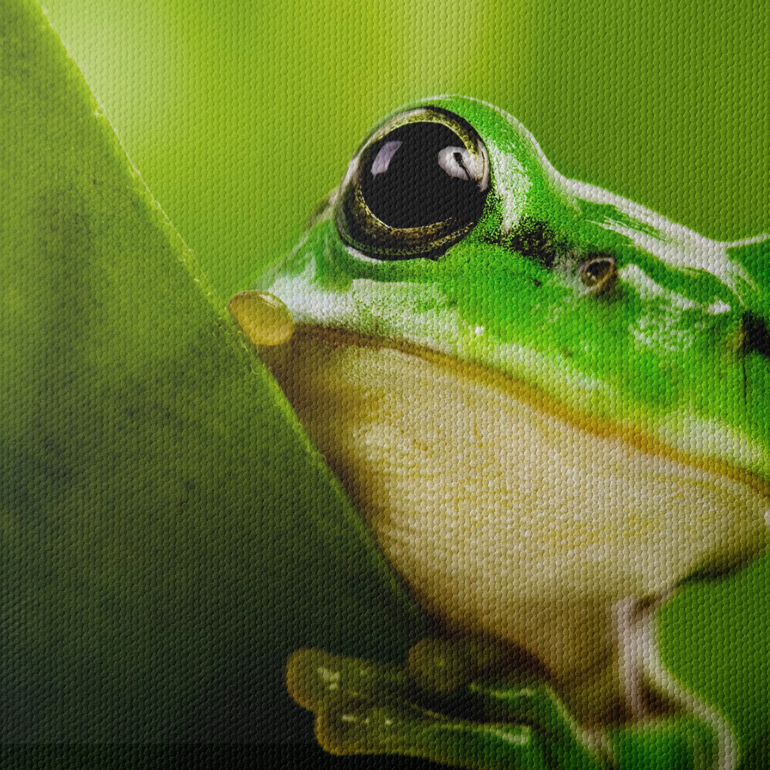 Close-Up Of A Green Frog Among Leaves - Image 4