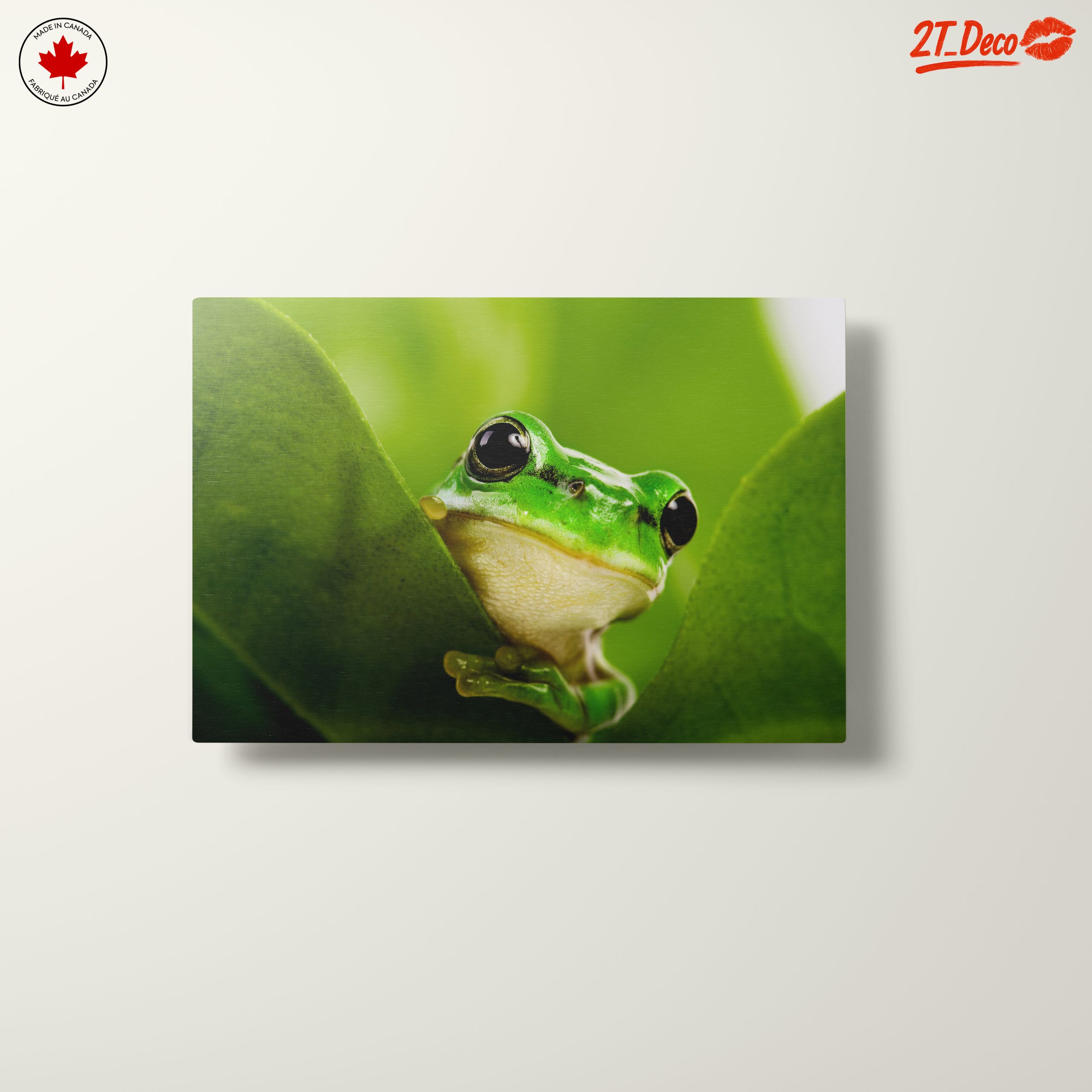 Close-Up Of A Green Frog Among Leaves - Image 10