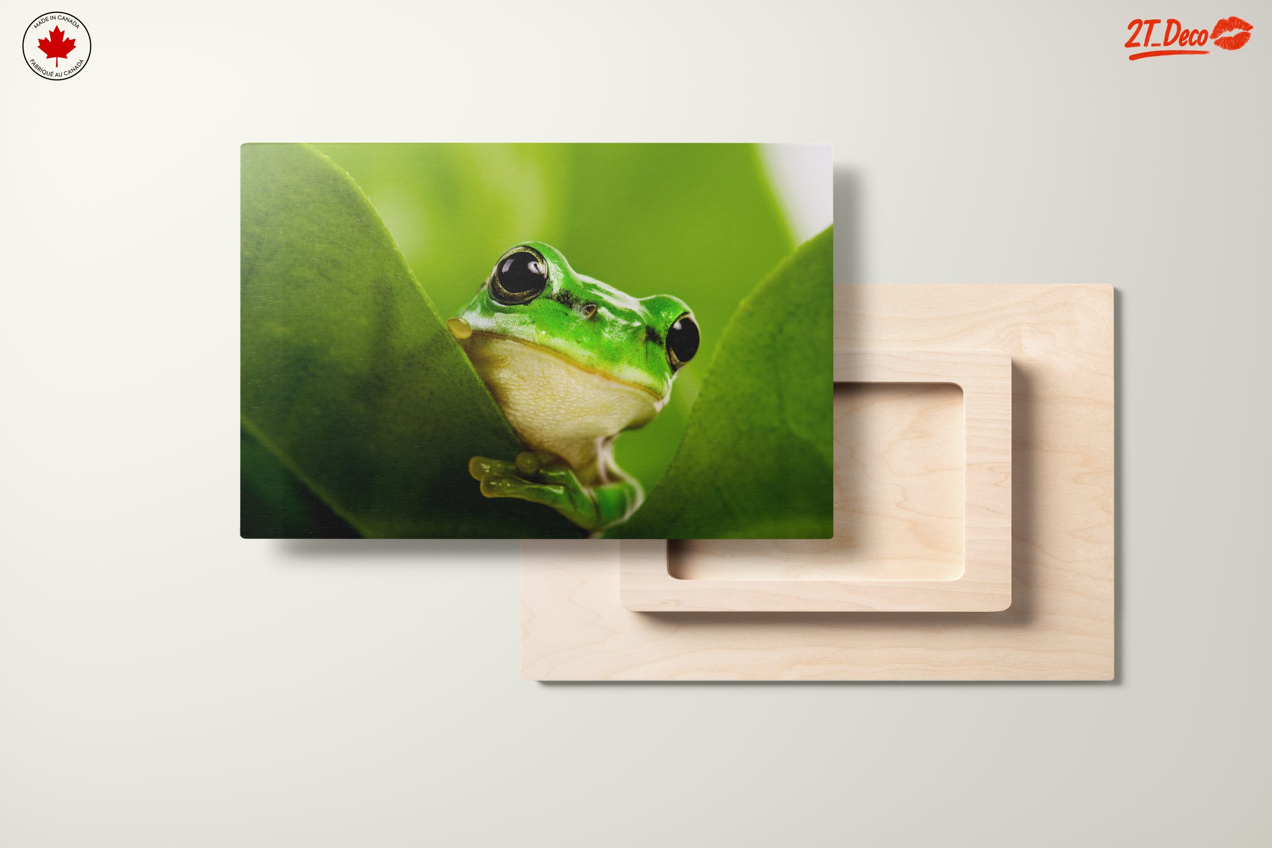 Close-Up Of A Green Frog Among Leaves - Image 11