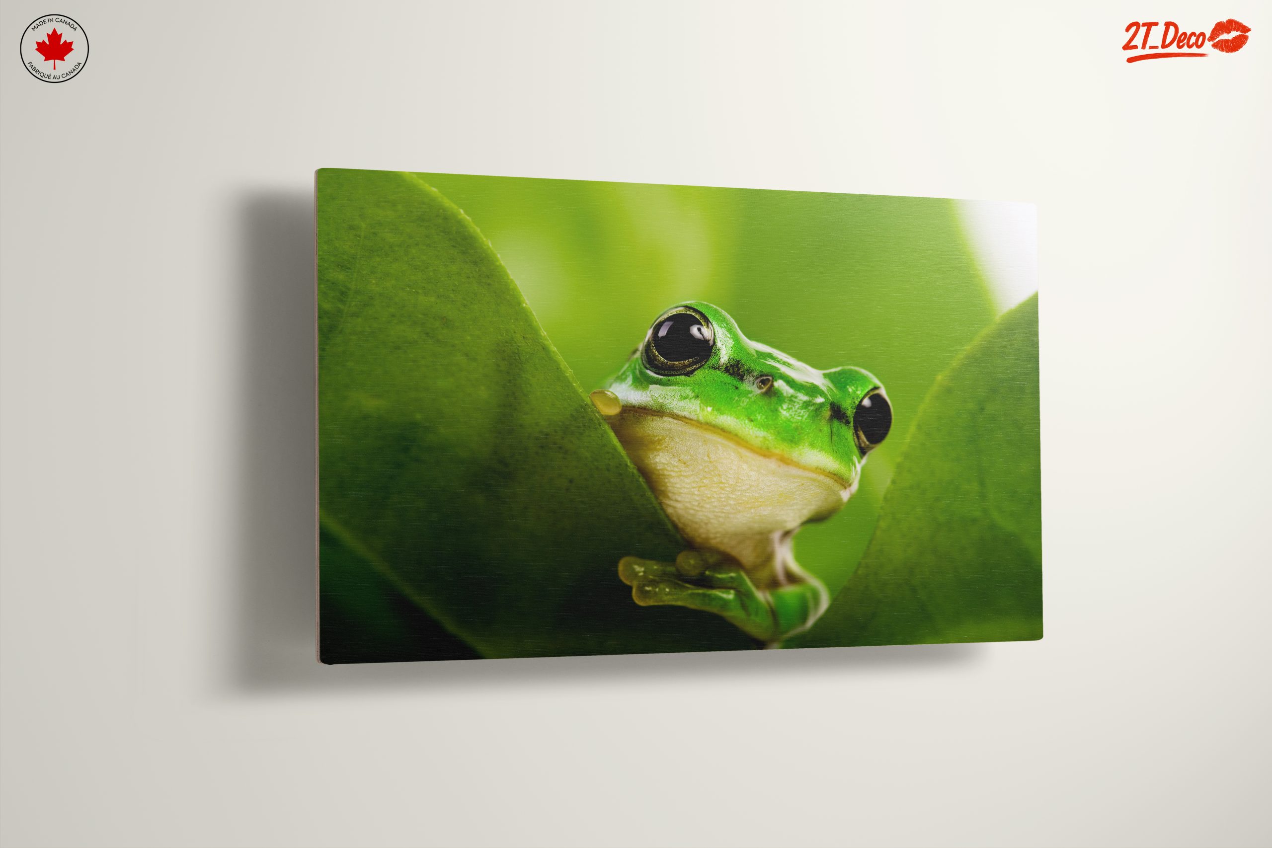 Close-Up Of A Green Frog Among Leaves - Image 13