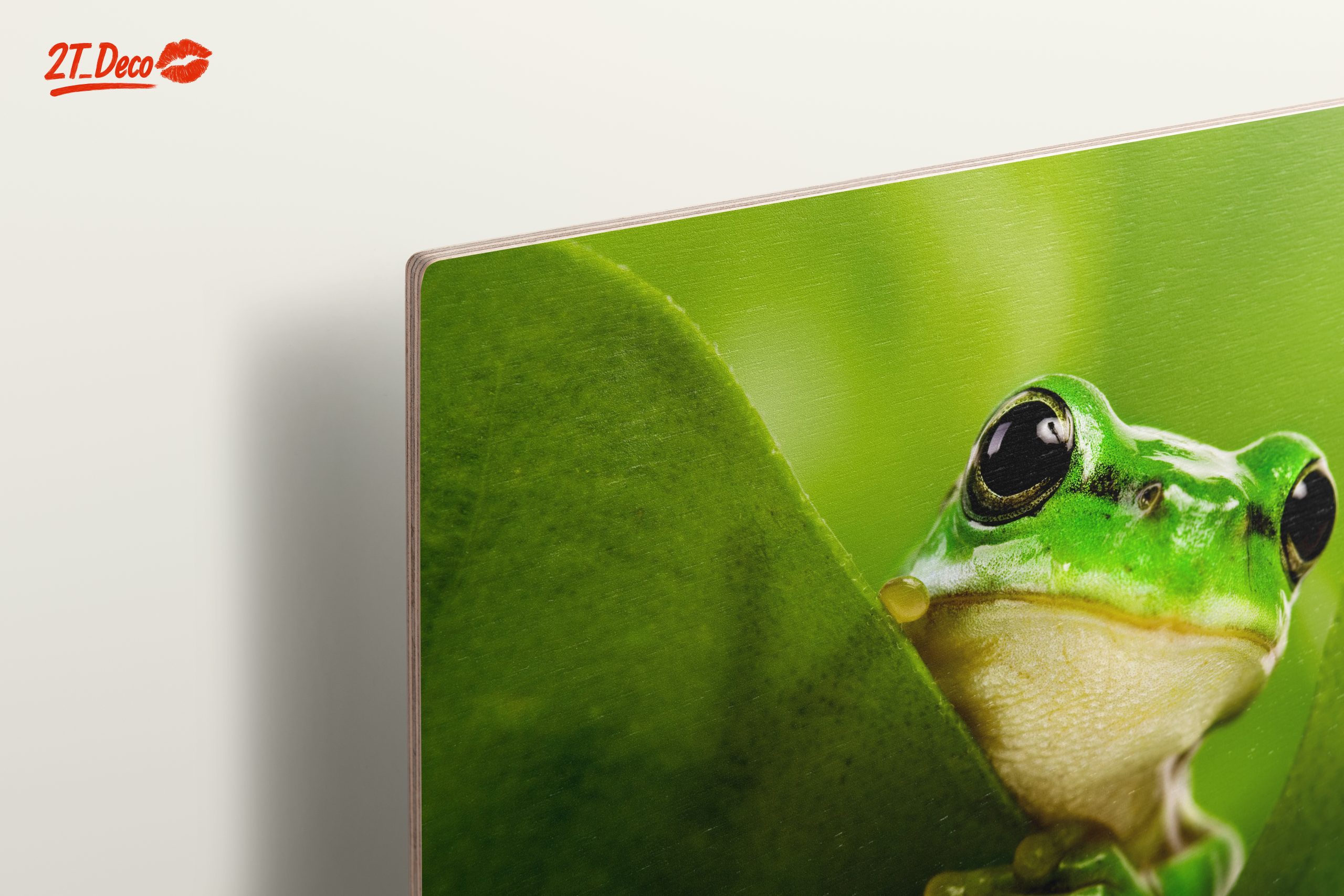 Close-Up Of A Green Frog Among Leaves - Image 15
