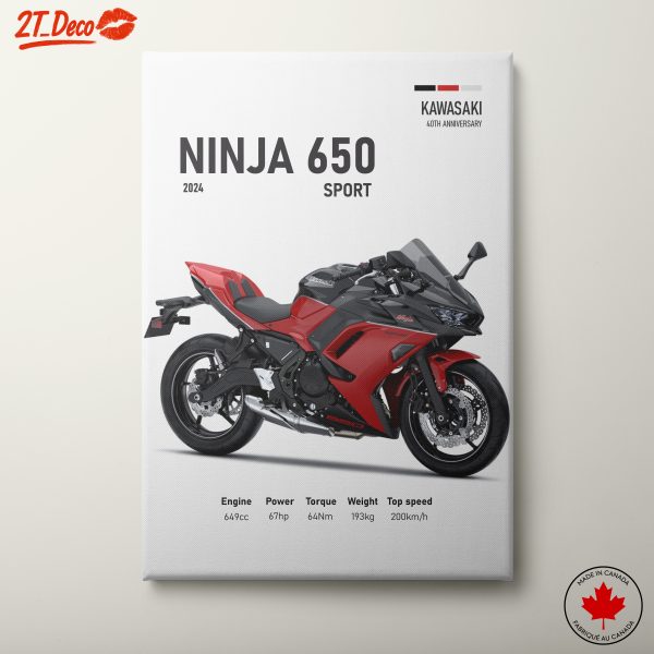 Kawasaki Ninja 650 Sport Motorcycle Art