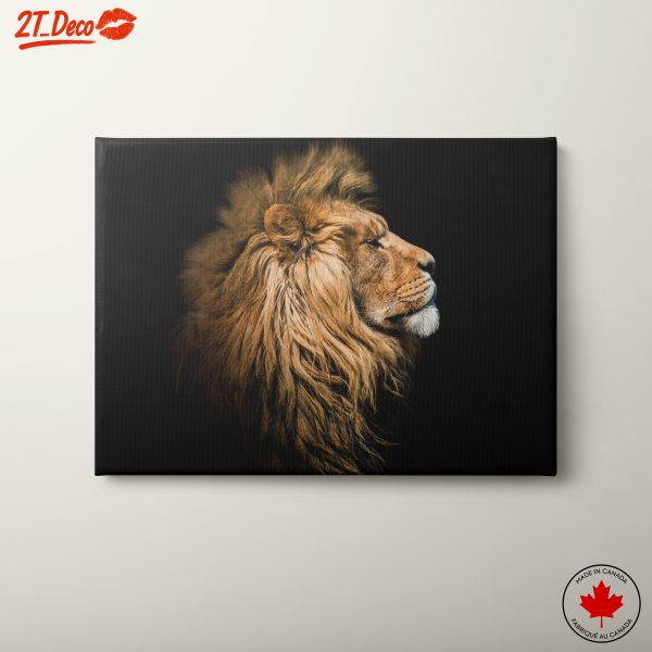 Majestic Lion Portrait in Profile