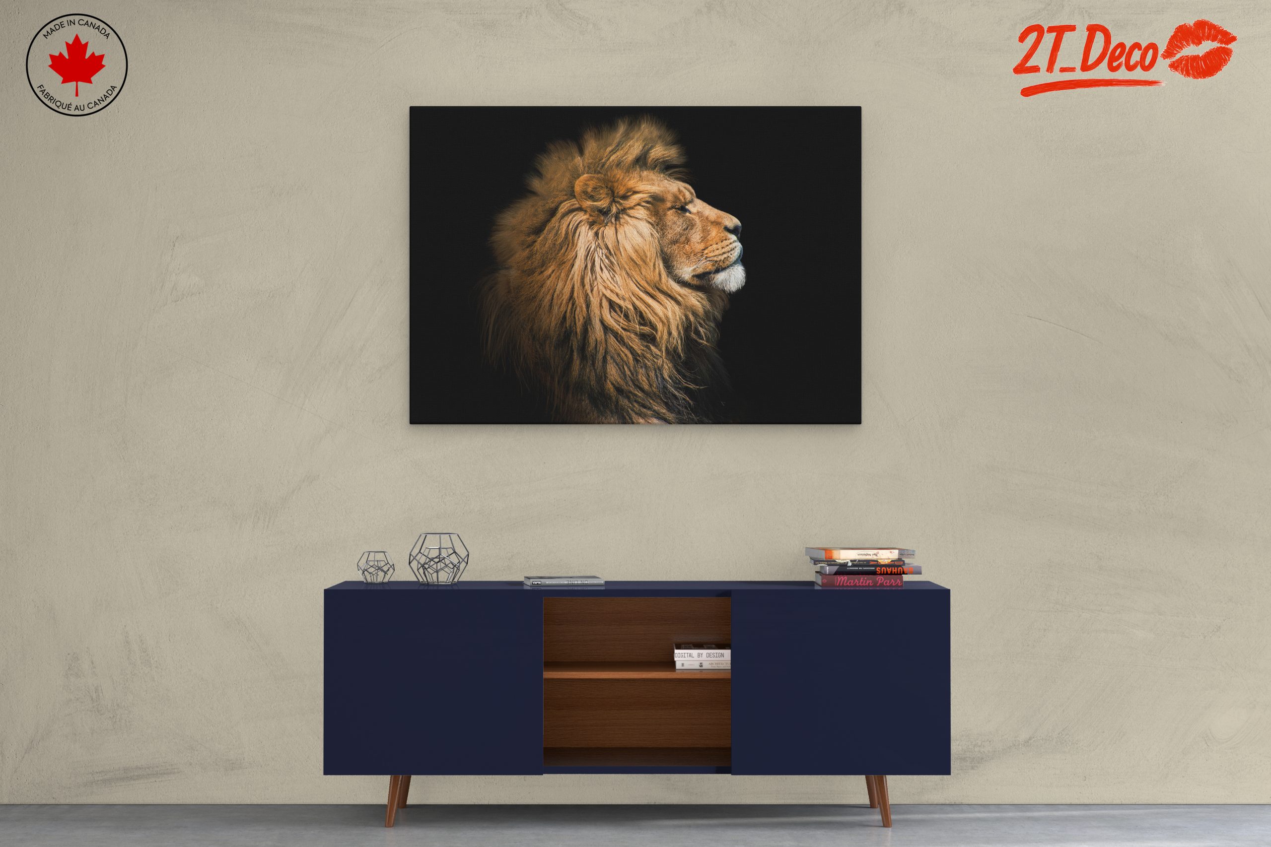 Majestic Lion Portrait in Profile - Image 3