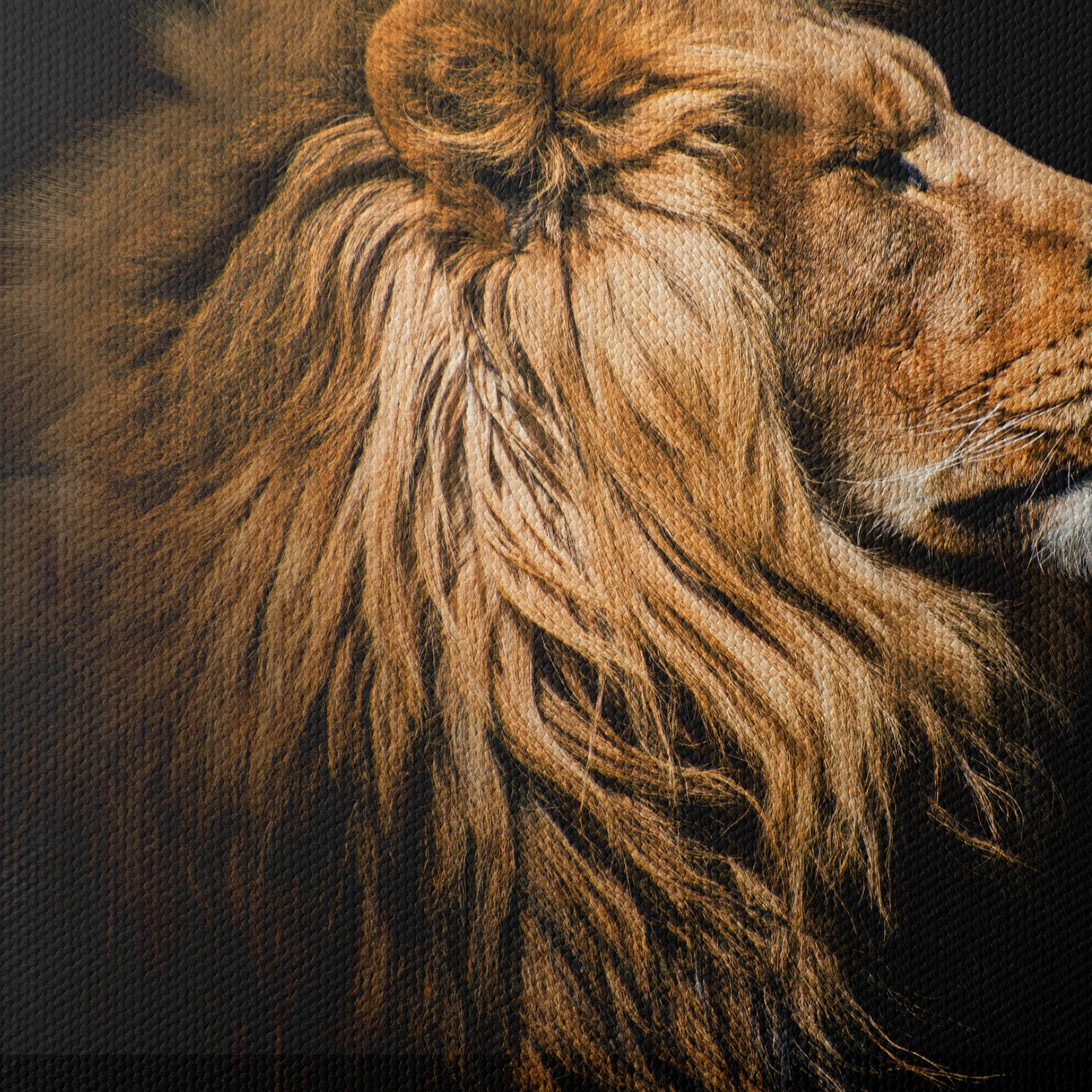 Majestic Lion Portrait in Profile - Image 4
