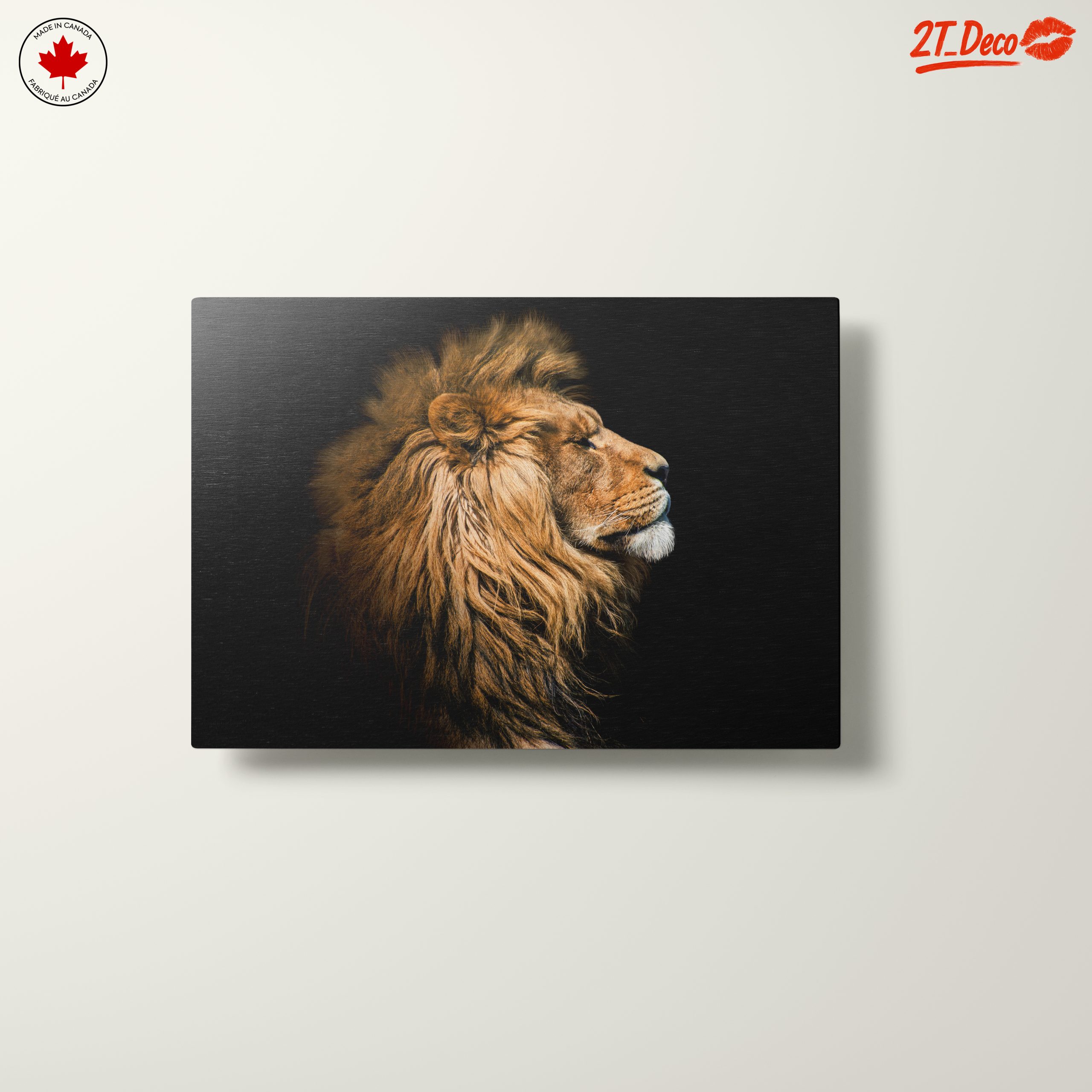 Majestic Lion Portrait in Profile - Image 10