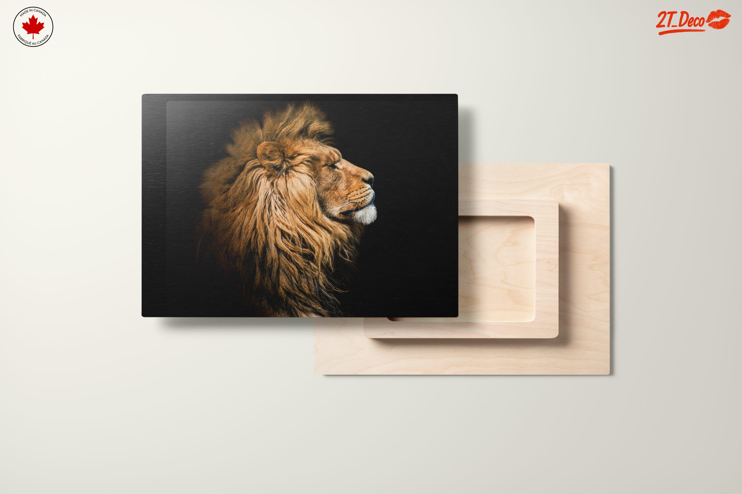 Majestic Lion Portrait in Profile - Image 11