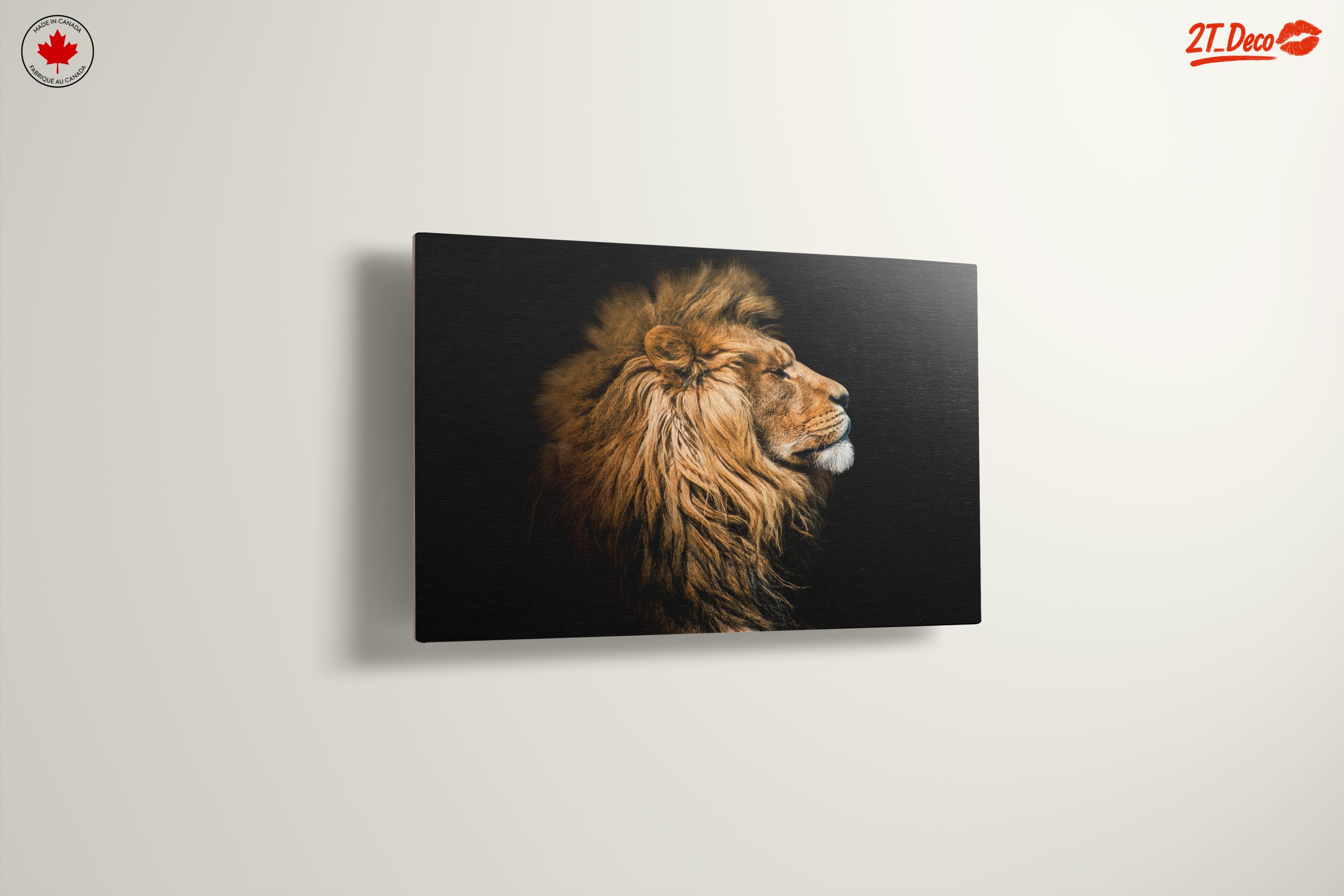 Majestic Lion Portrait in Profile - Image 13