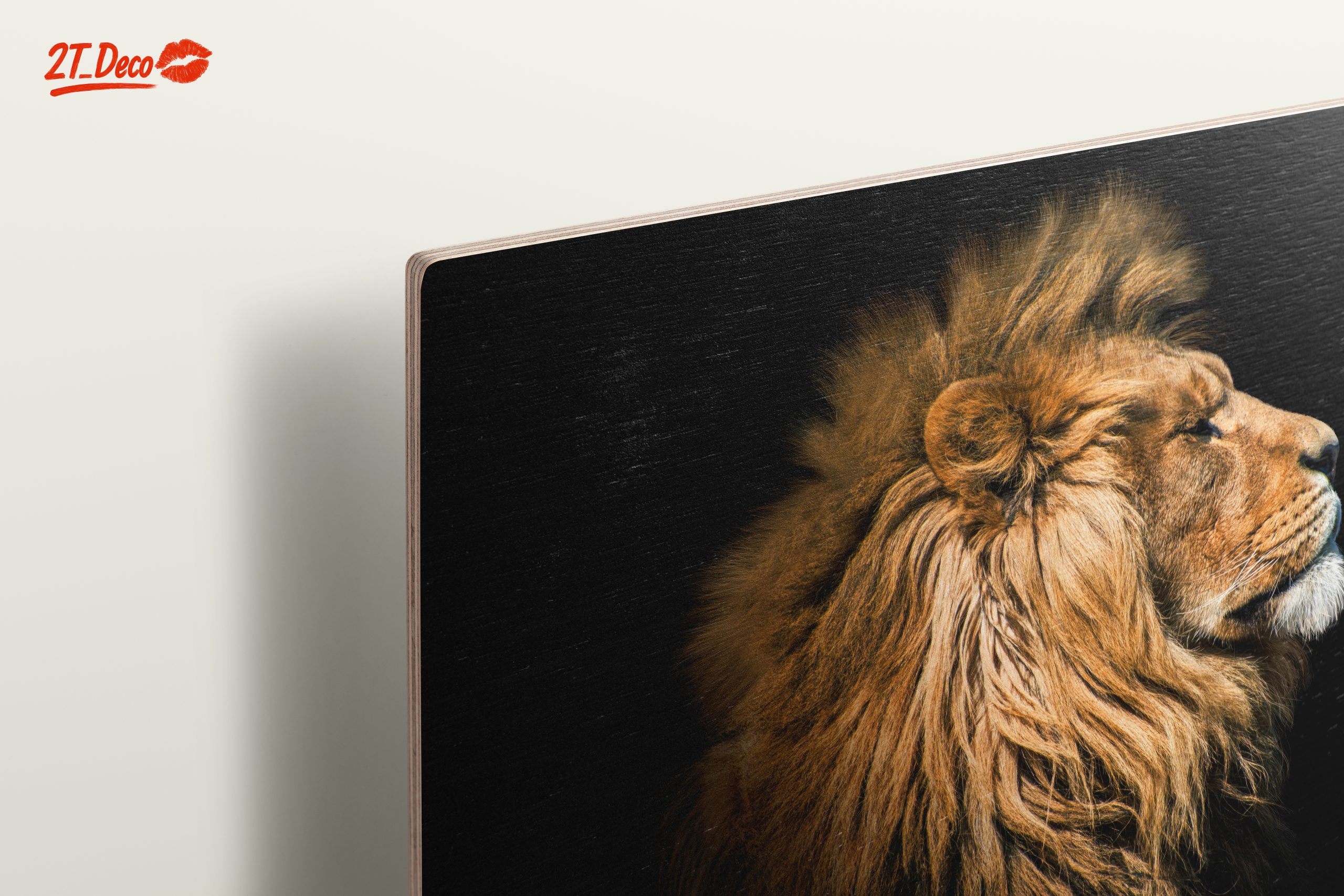 Majestic Lion Portrait in Profile - Image 15
