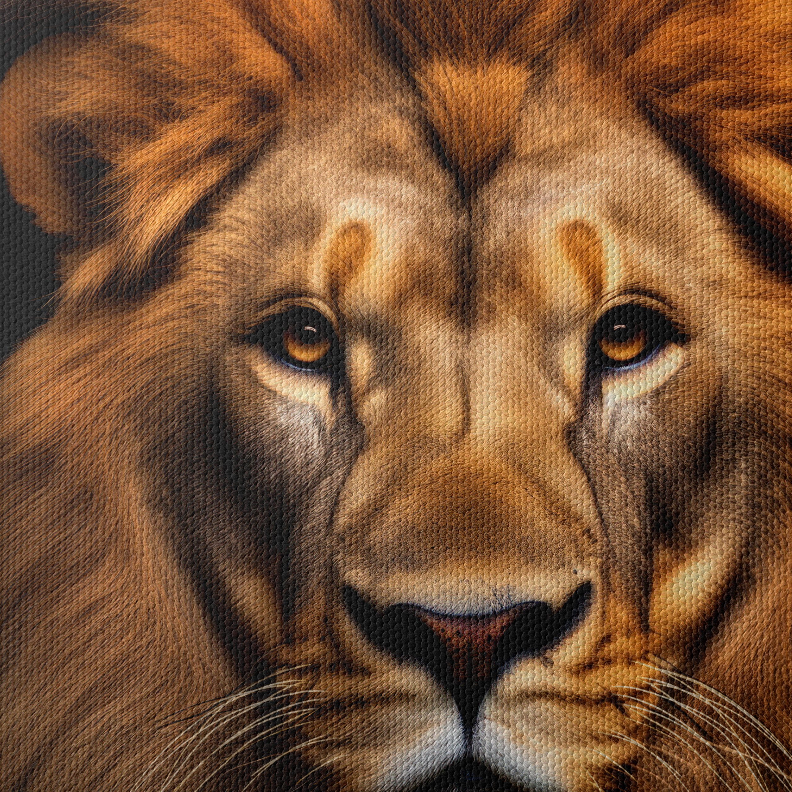 Majestic Lion Portrait Wall Art 5 - Image 4