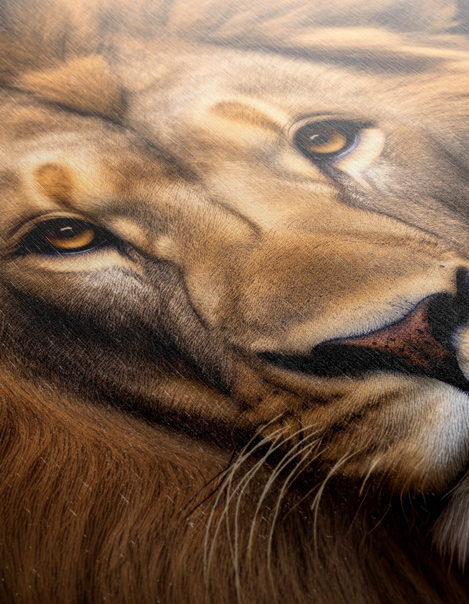 Majestic Lion Portrait Wall Art 5 - Image 12