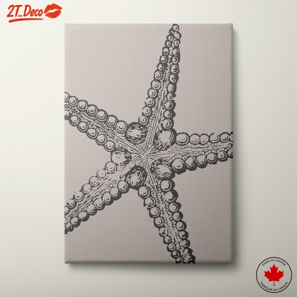 Stylized Starfish Illustration for Home Decor