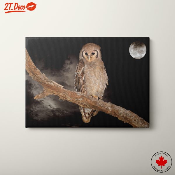 Majestic Owl Under Moonlight