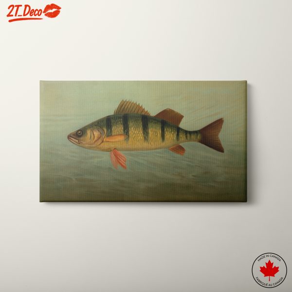 Abstract Representation of Marine Fish