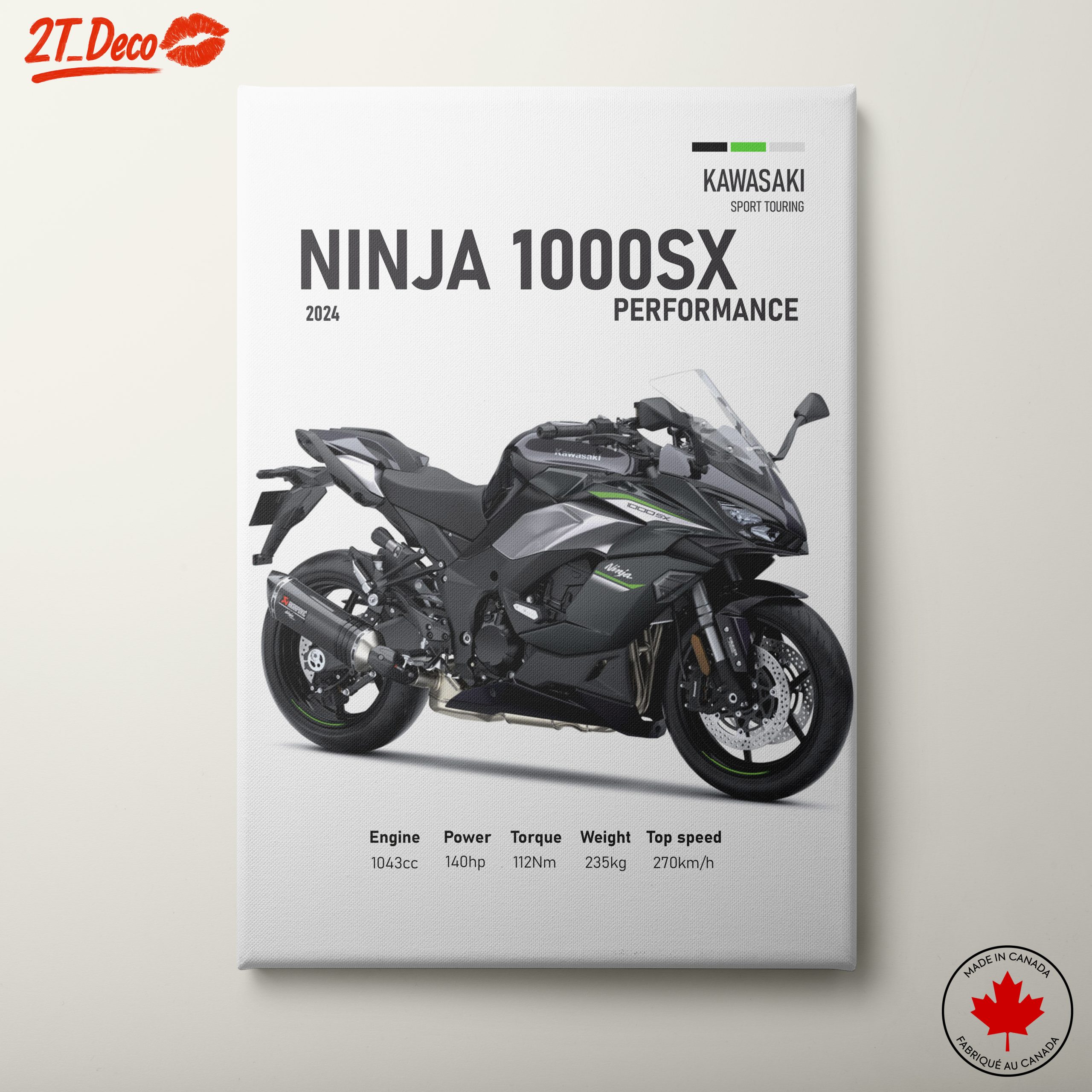 Kawasaki Ninja 1000SX 2024 Motorcycle Art
