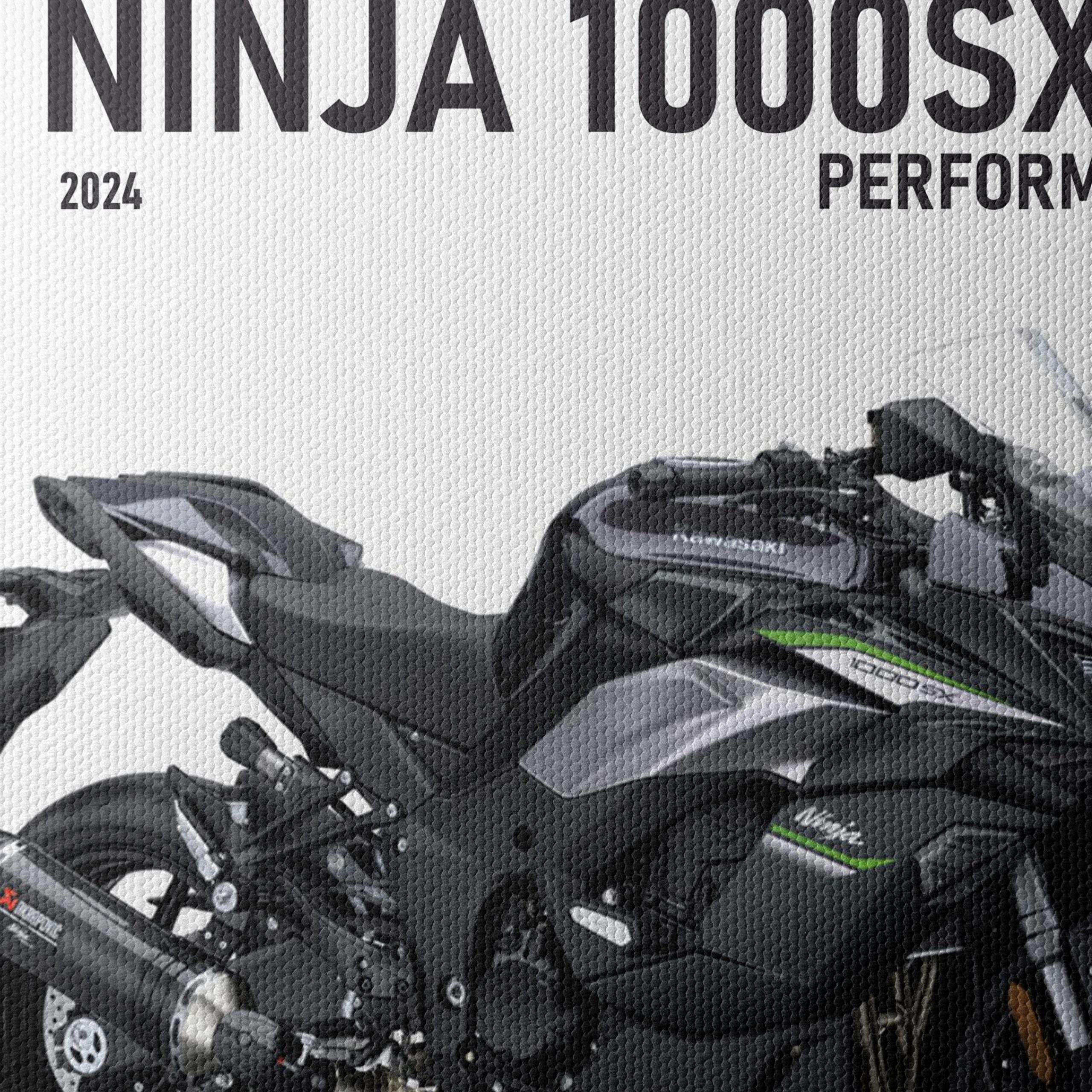Kawasaki Ninja 1000SX 2024 Motorcycle Art - Image 4