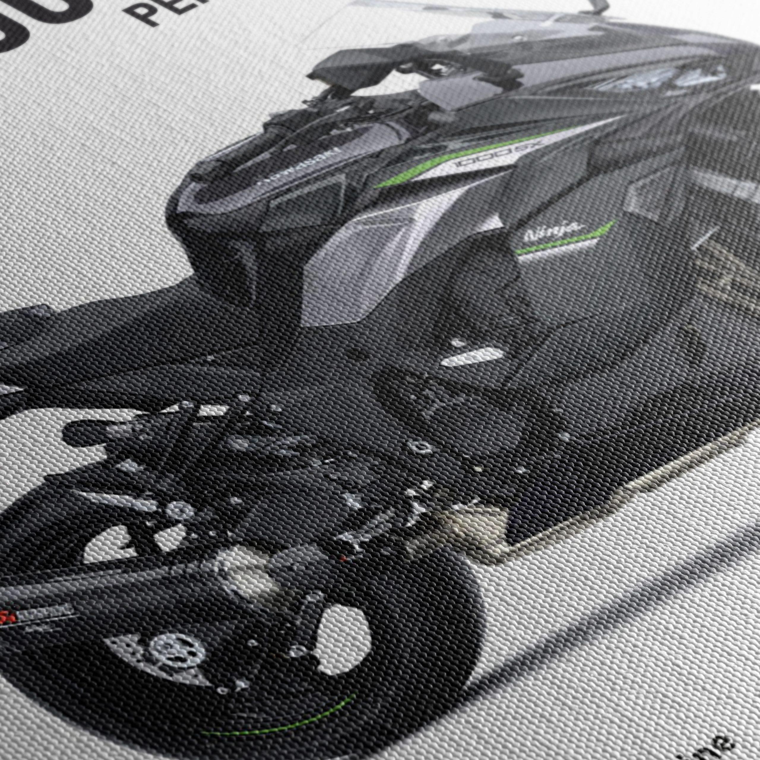 Kawasaki Ninja 1000SX 2024 Motorcycle Art - Image 5