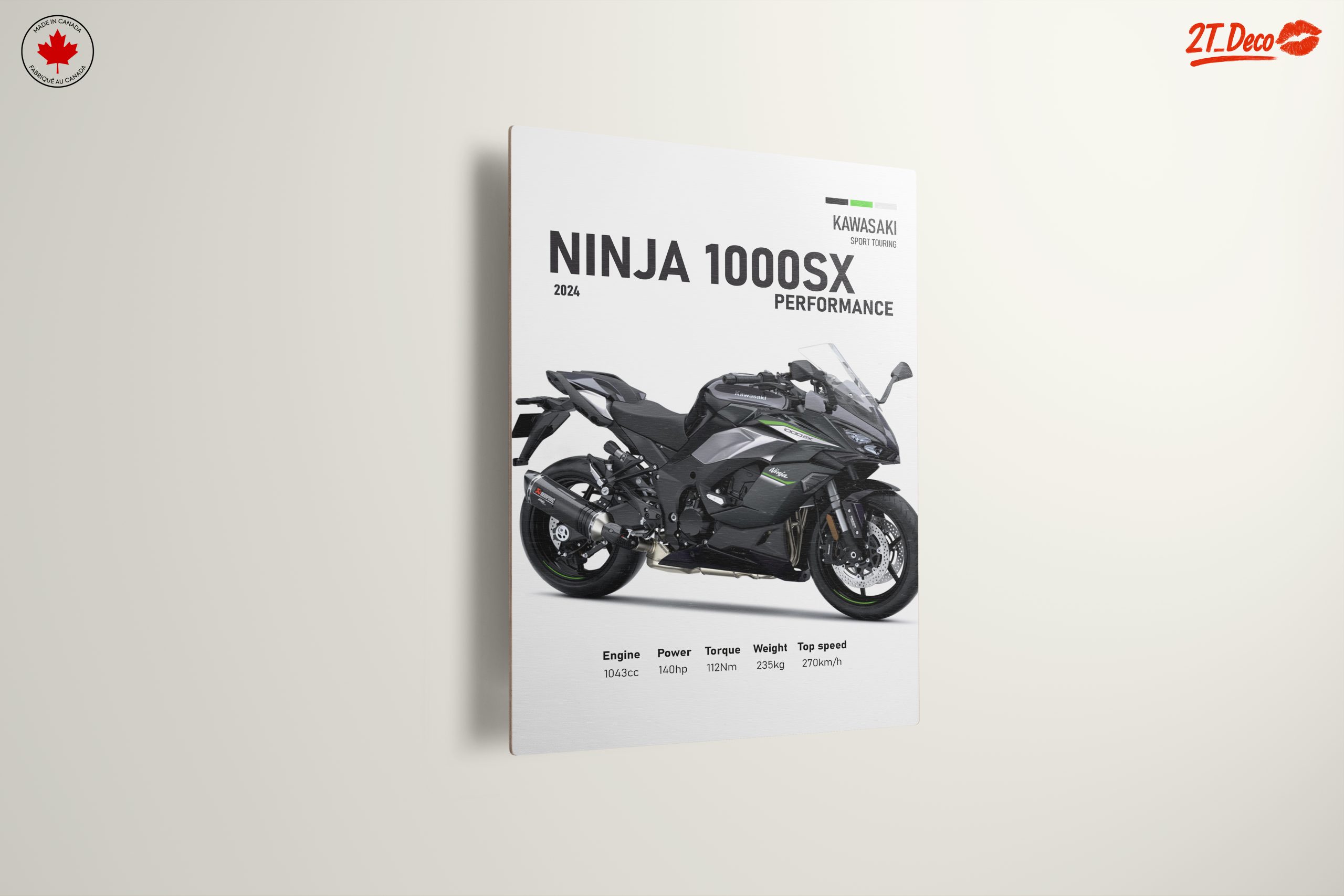Kawasaki Ninja 1000SX 2024 Motorcycle Art - Image 13