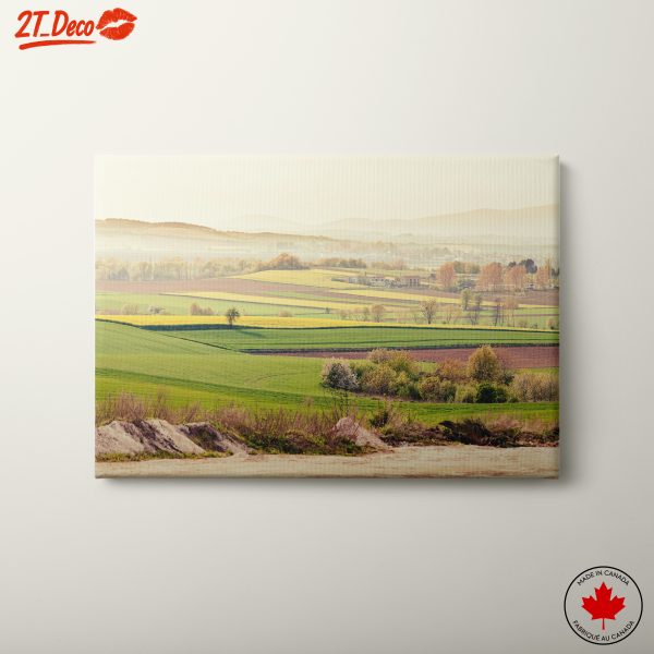 Serene Green Fields Landscape Art