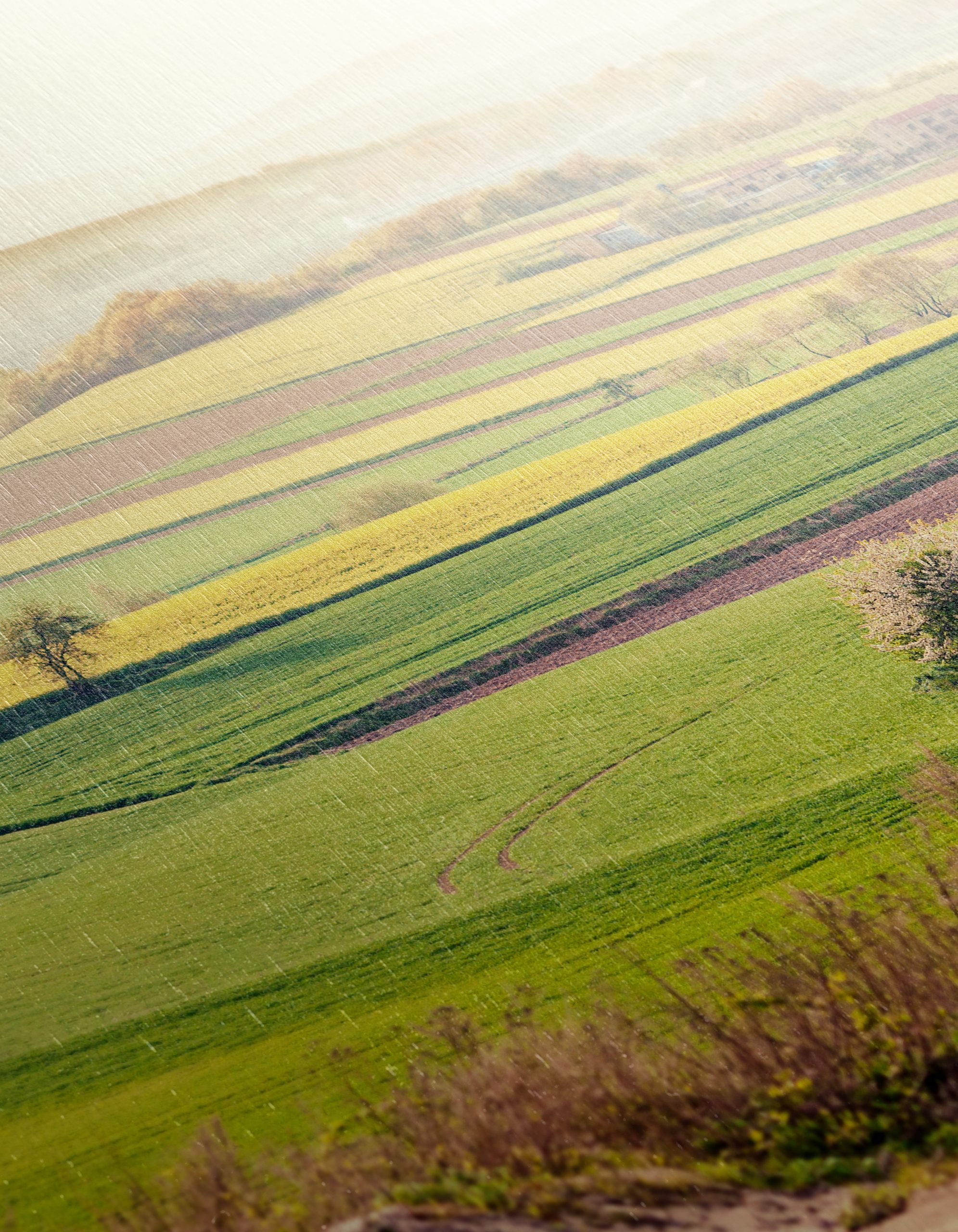 Serene Green Fields Landscape Art - Image 12