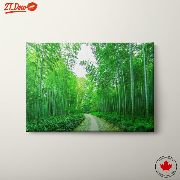 Lush Bamboo Forest Landscape