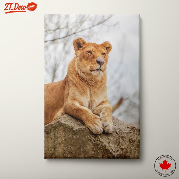Majestic Lioness Wall Art