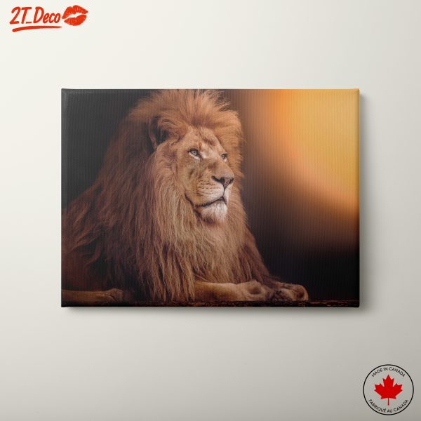 Majestic Lion Portrait Wall Art 10