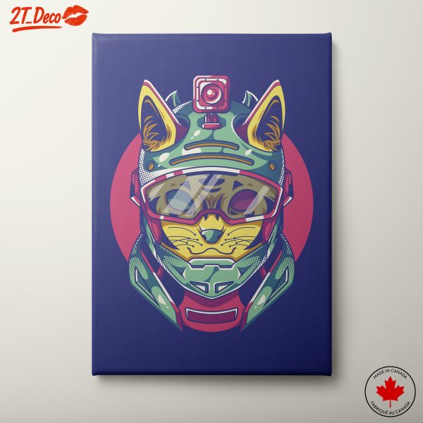 Stylized Cat in Helmet Doodle Art