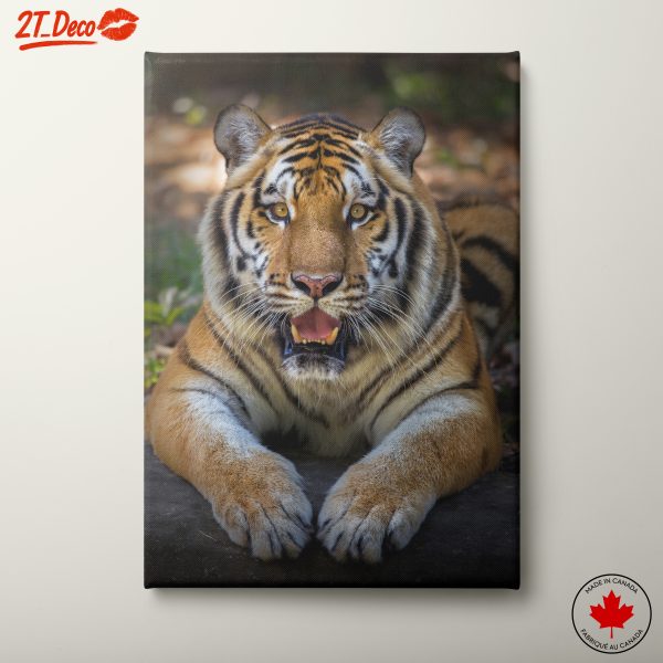 Majestic Tiger Portrait for Wall Art