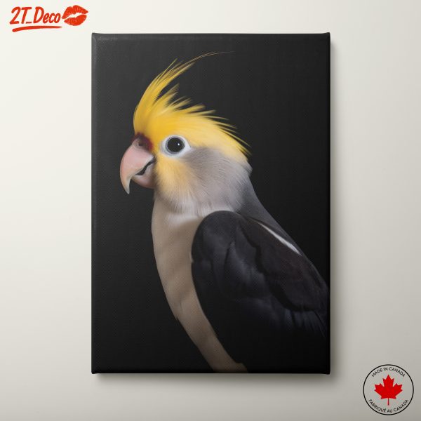Elegant Bird Portrait with Vibrant Colors