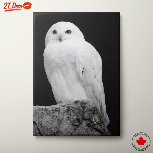 Majestic Snowy Owl Wall Art