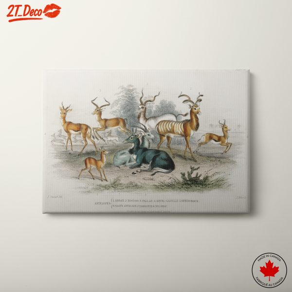 Artistic Depiction of Antelopes