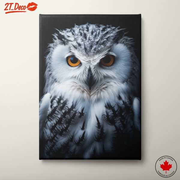 Detailed Portrait of a White Snowy Owl