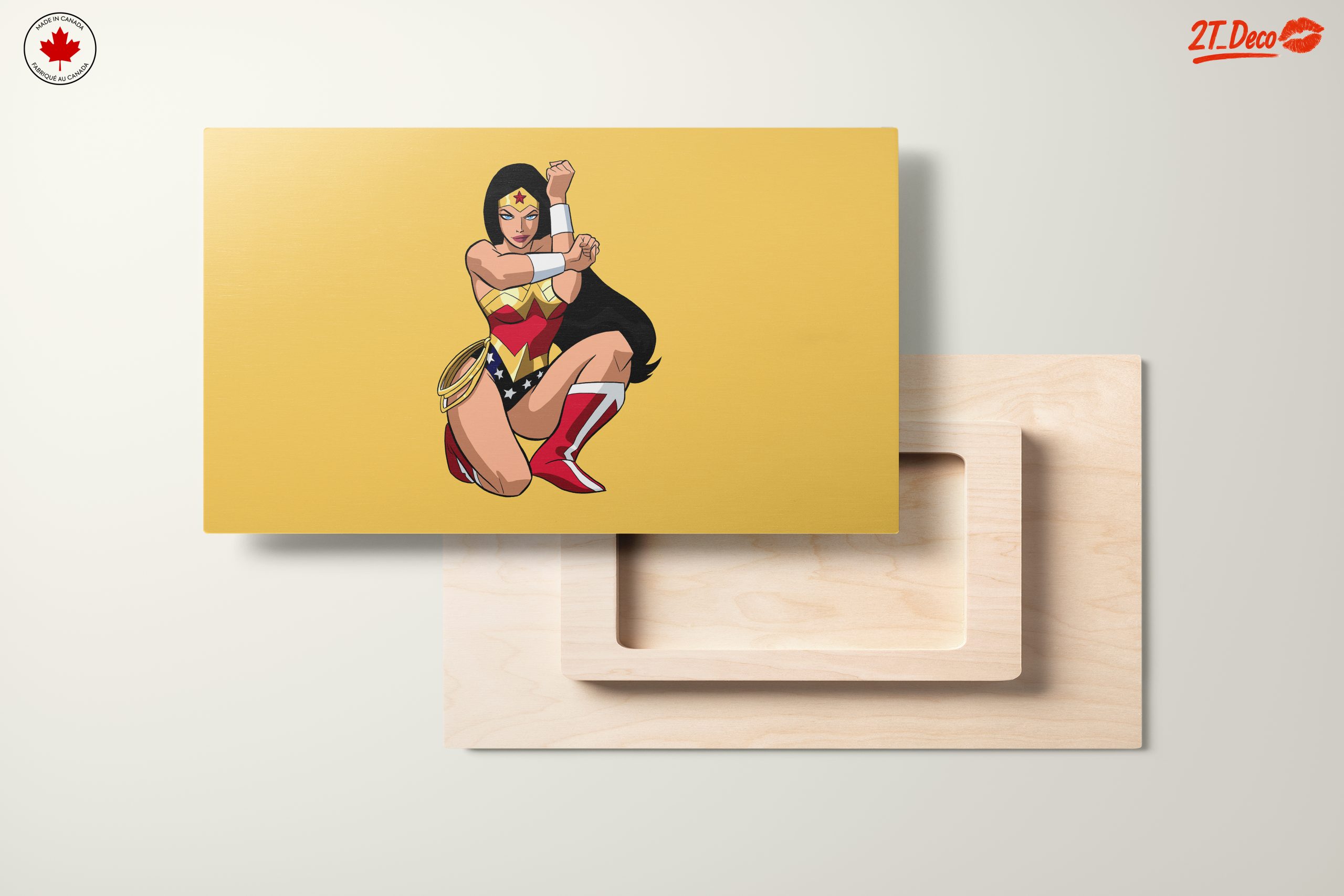 Wonder Woman Character Art - Image 11