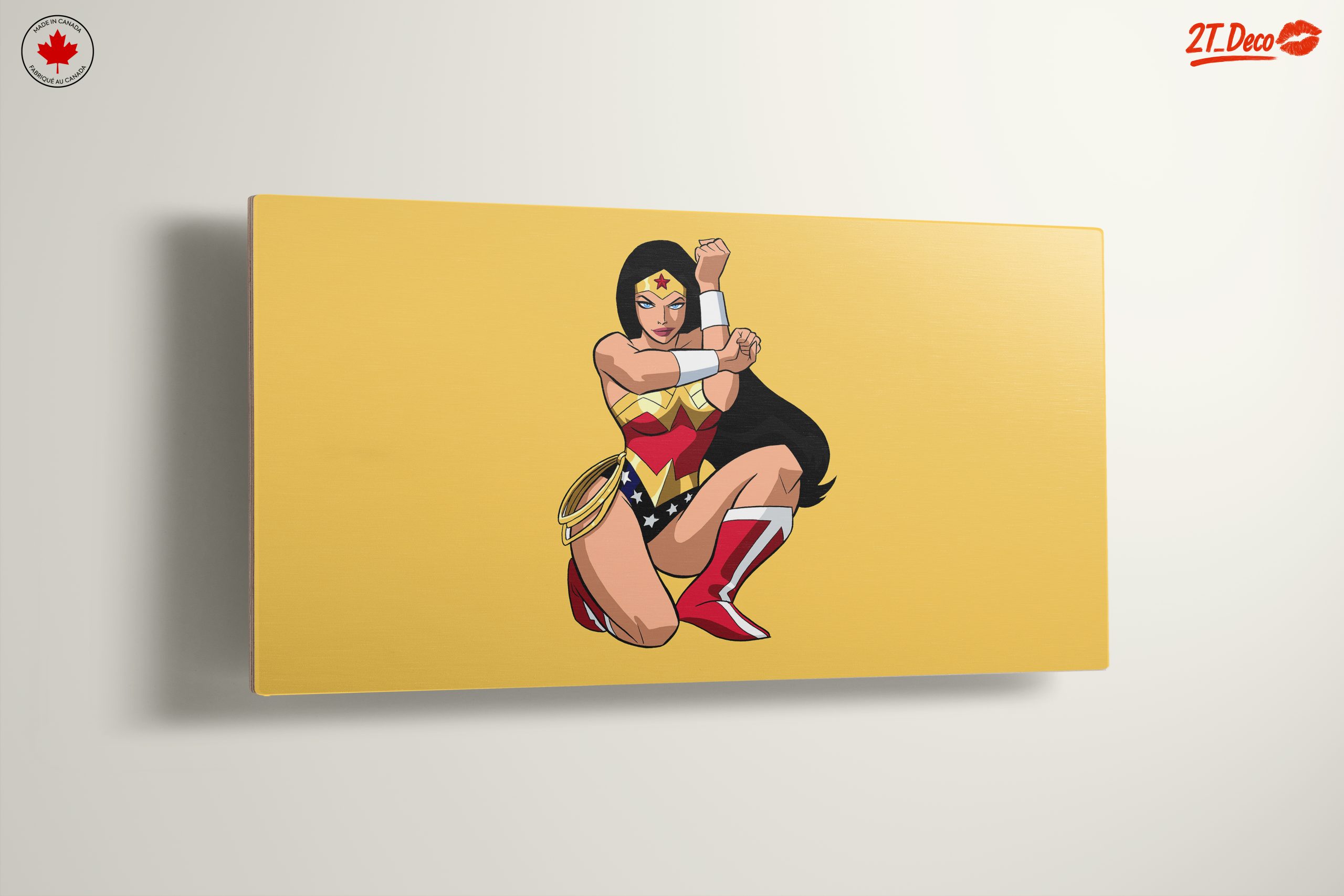 Wonder Woman Character Art - Image 13