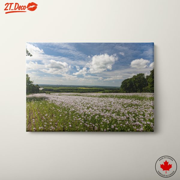 Vast Natural Landscape with Blooming Flowers
