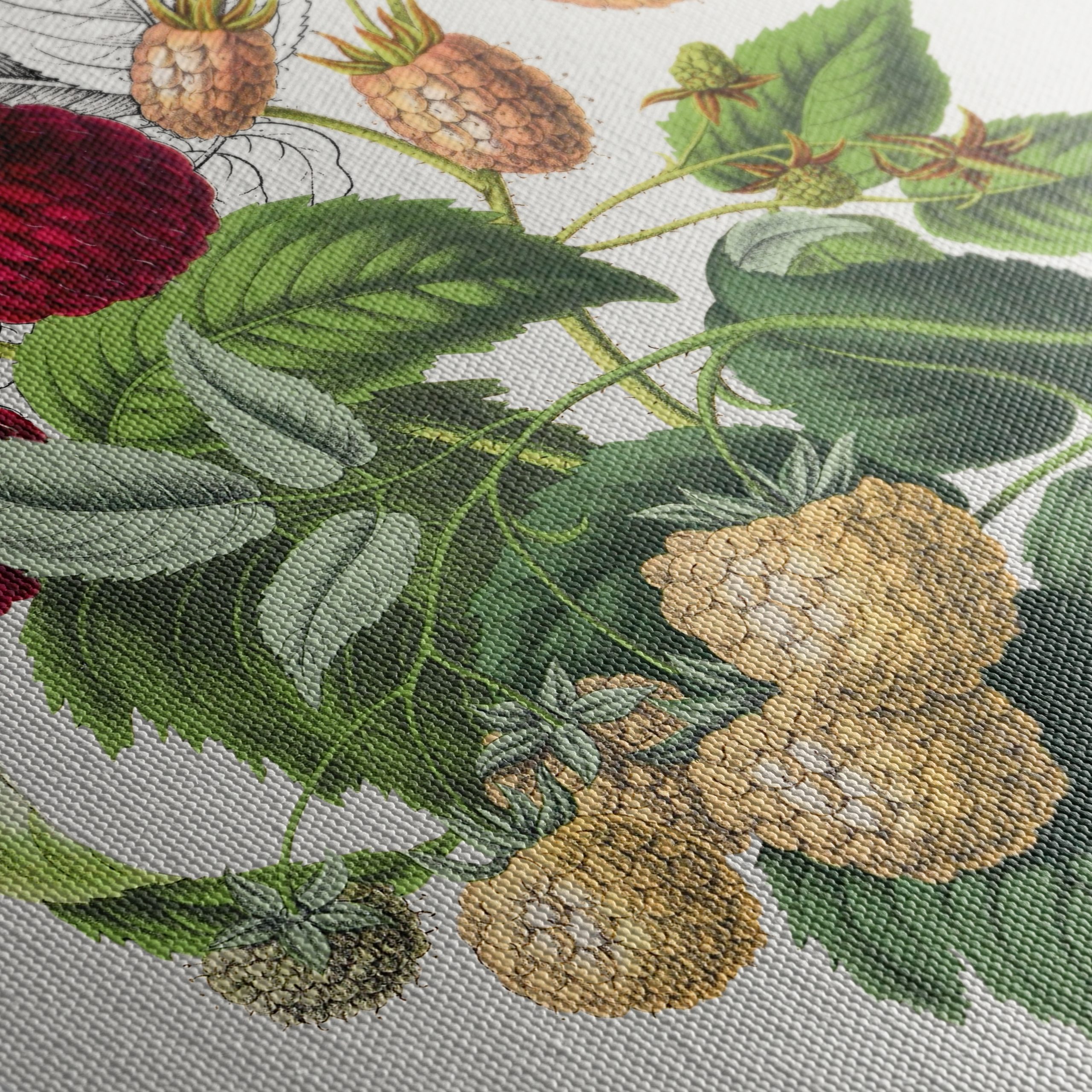 Raspberry Botanical Art Illustration - Image 5