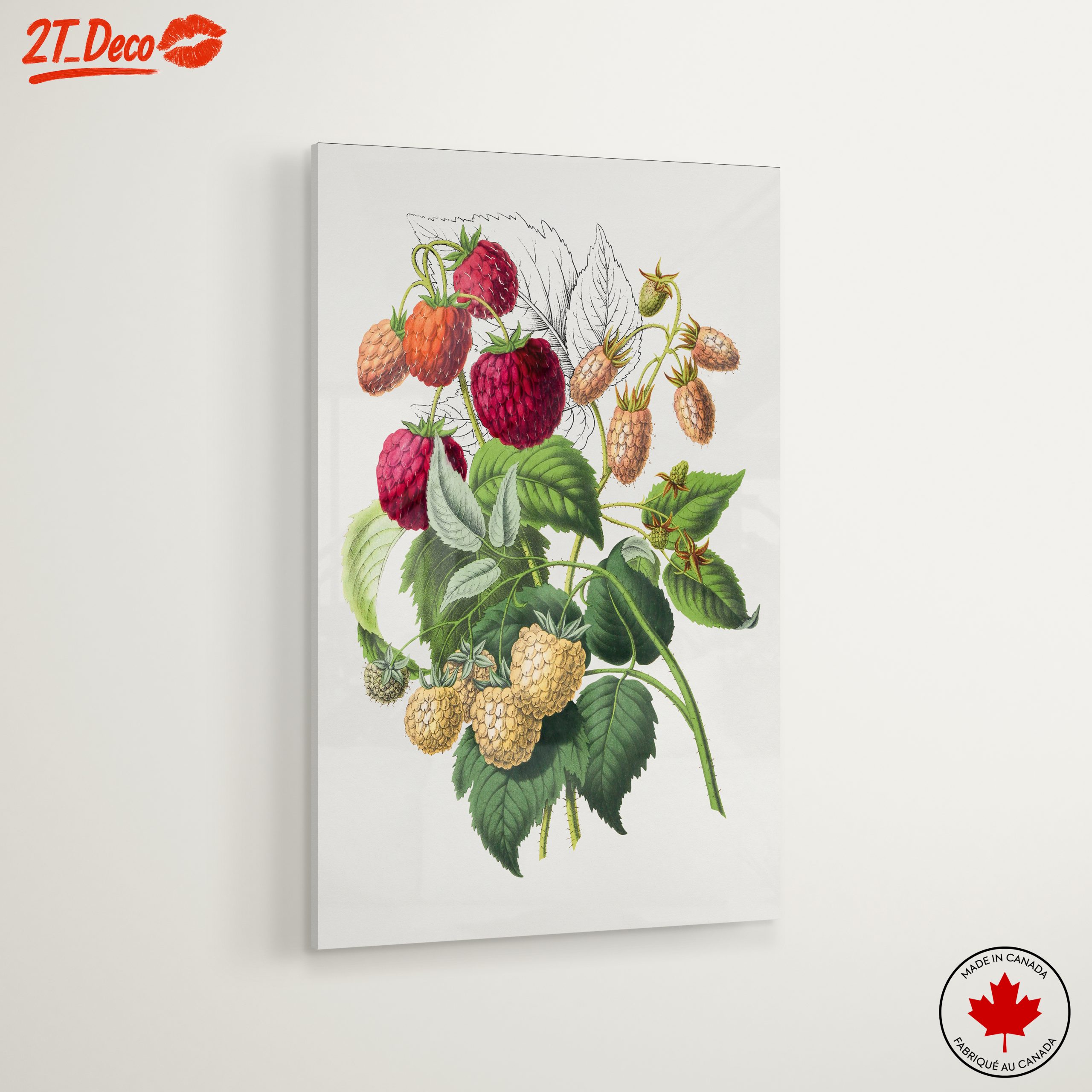 Raspberry Botanical Art Illustration - Image 6