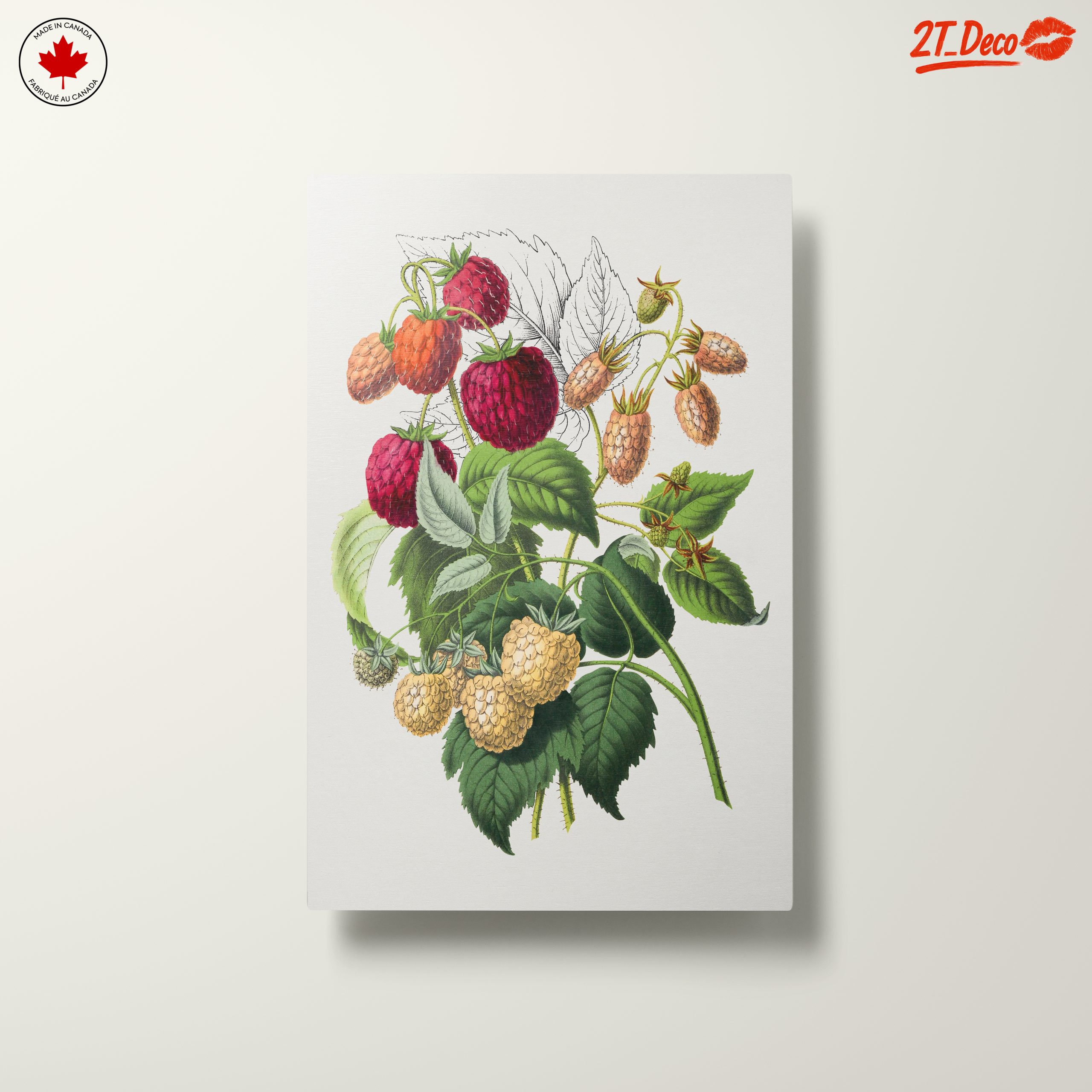 Raspberry Botanical Art Illustration - Image 10
