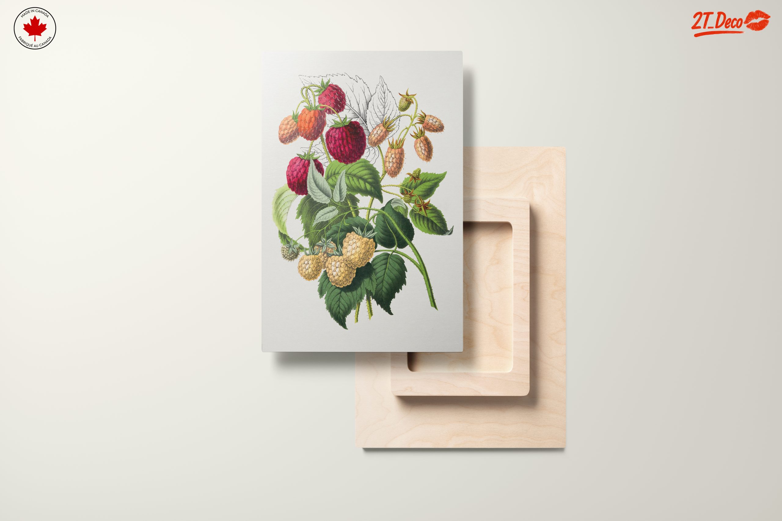 Raspberry Botanical Art Illustration - Image 11