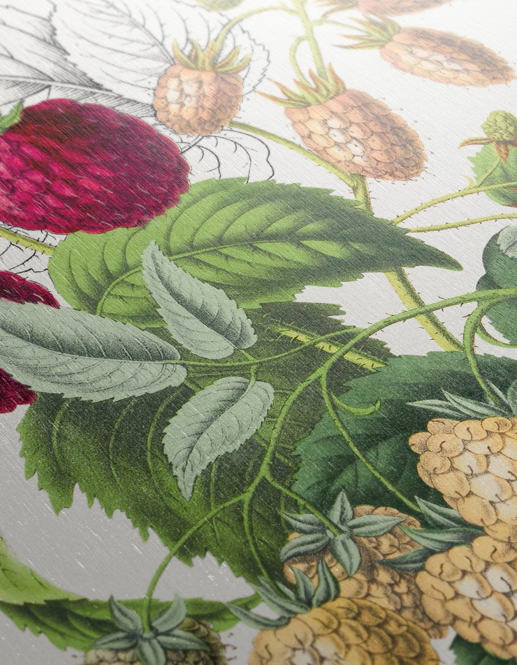 Raspberry Botanical Art Illustration - Image 12
