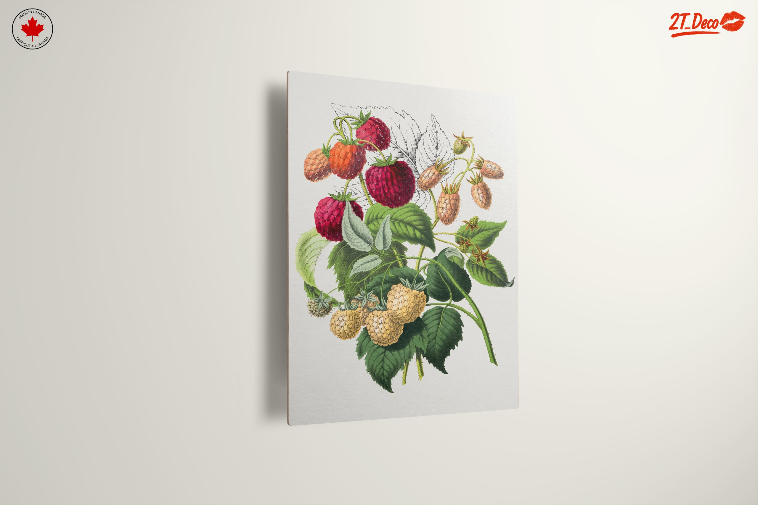 Raspberry Botanical Art Illustration - Image 13