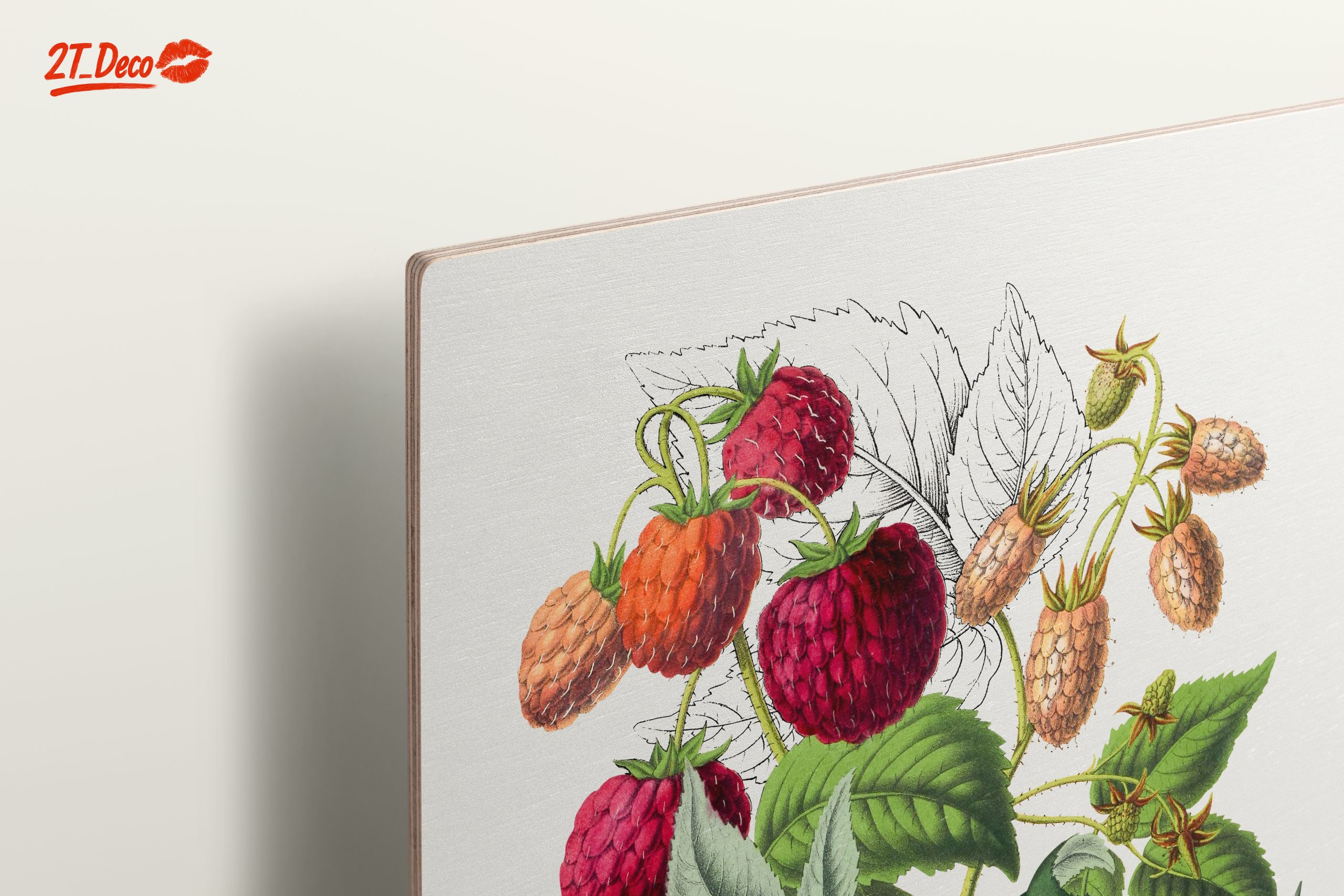 Raspberry Botanical Art Illustration - Image 15