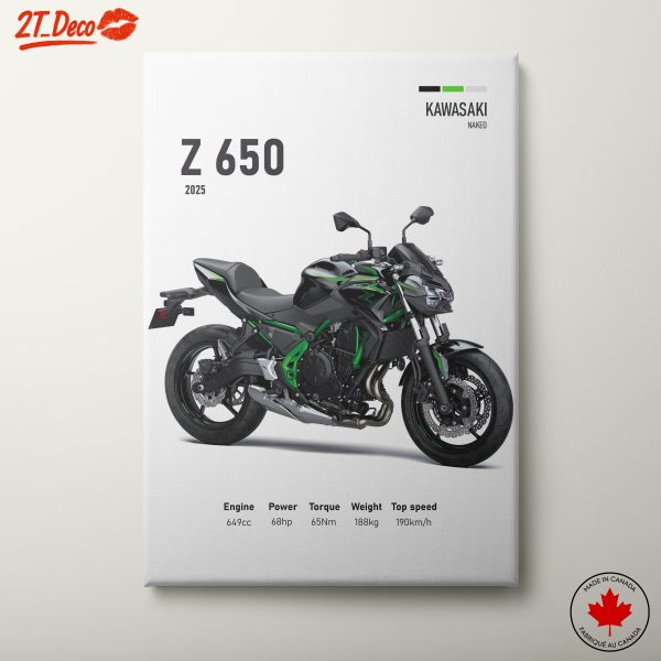 Kawasaki Z650 2025 Motorcycle Artwork