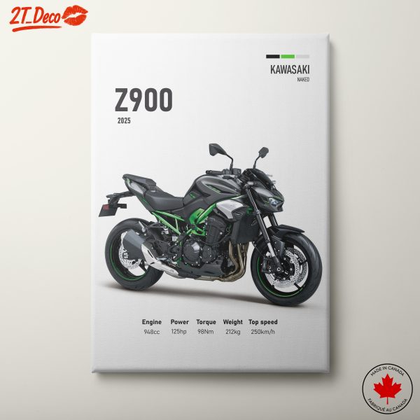 Kawasaki Z900 2025 Motorcycle Art