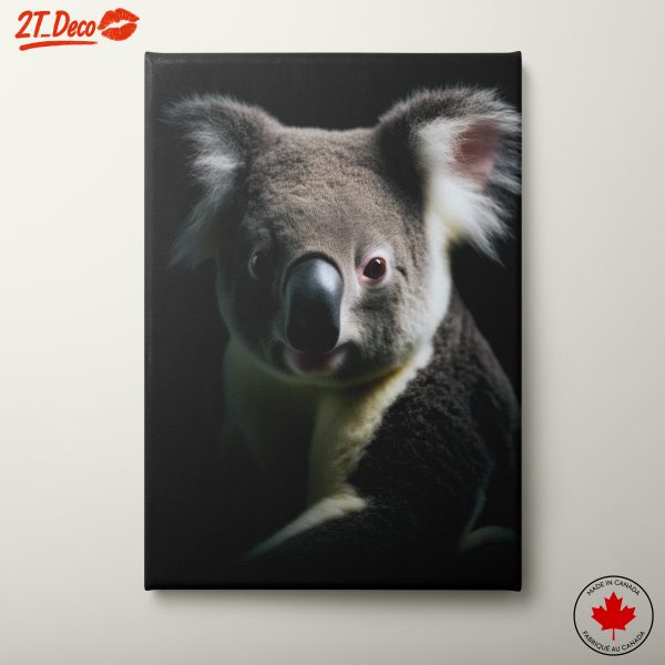 Close-Up Portrait of a Koala 2